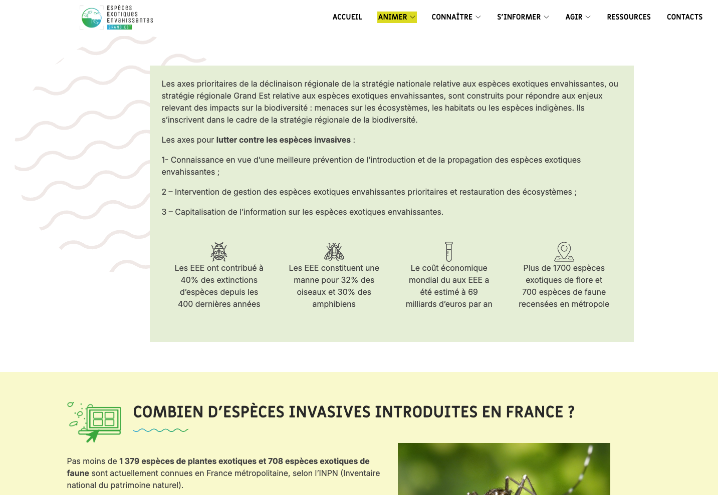 Plateforme EEE Grand-Est